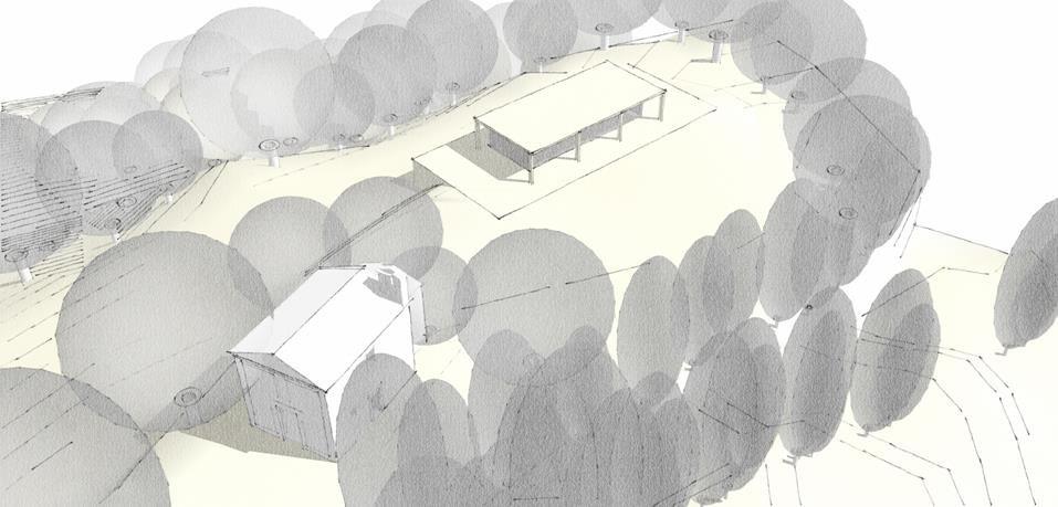 images of forest